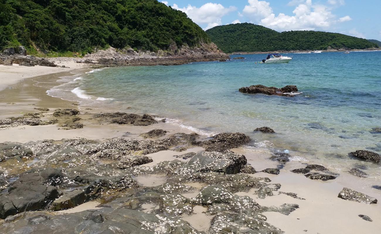 Campsite Bay'in fotoğrafı açık bej kum yüzey ile