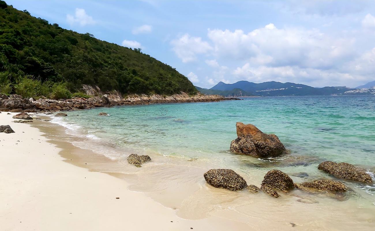 Whiskey Beach'in fotoğrafı parlak kum yüzey ile