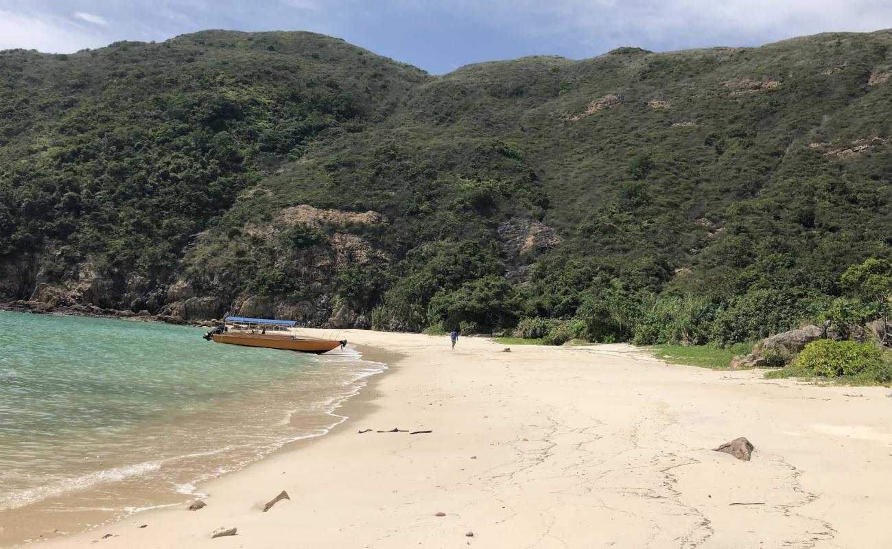 Kau Sai Wan'in fotoğrafı parlak kum yüzey ile