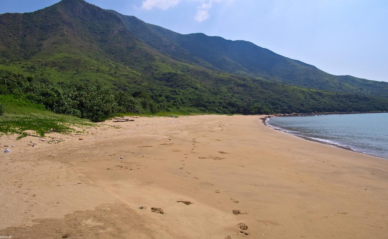 Tsin Yue Wan'in fotoğrafı açık bej kum yüzey ile