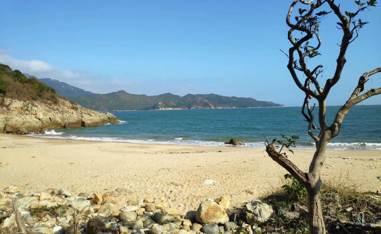 Tai Long Wan Campsite'in fotoğrafı parlak kum yüzey ile