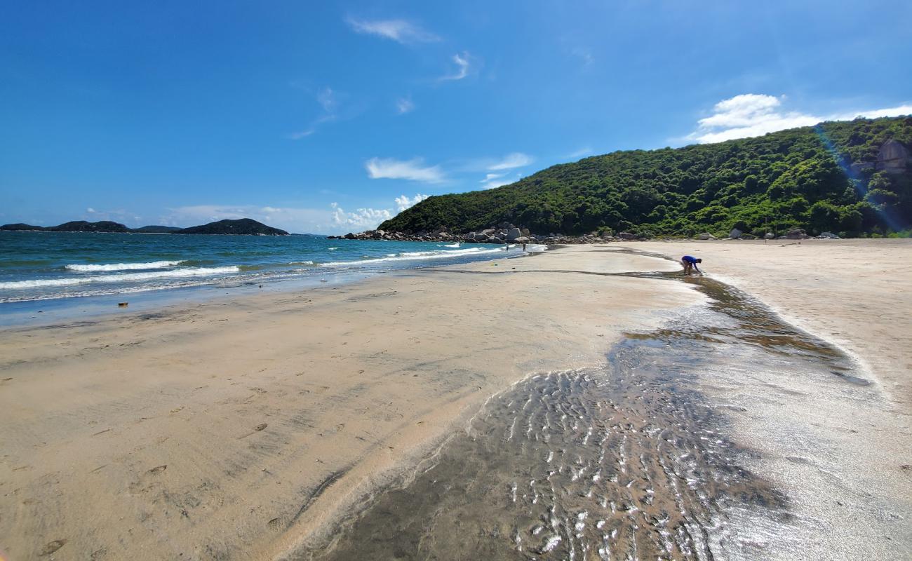 Lo Kei Wan'in fotoğrafı parlak kum yüzey ile