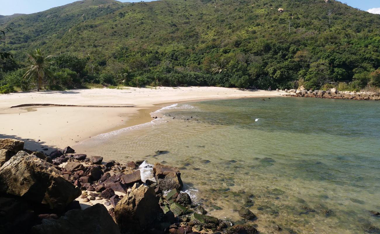 Fa Peng'in fotoğrafı açık bej kum yüzey ile