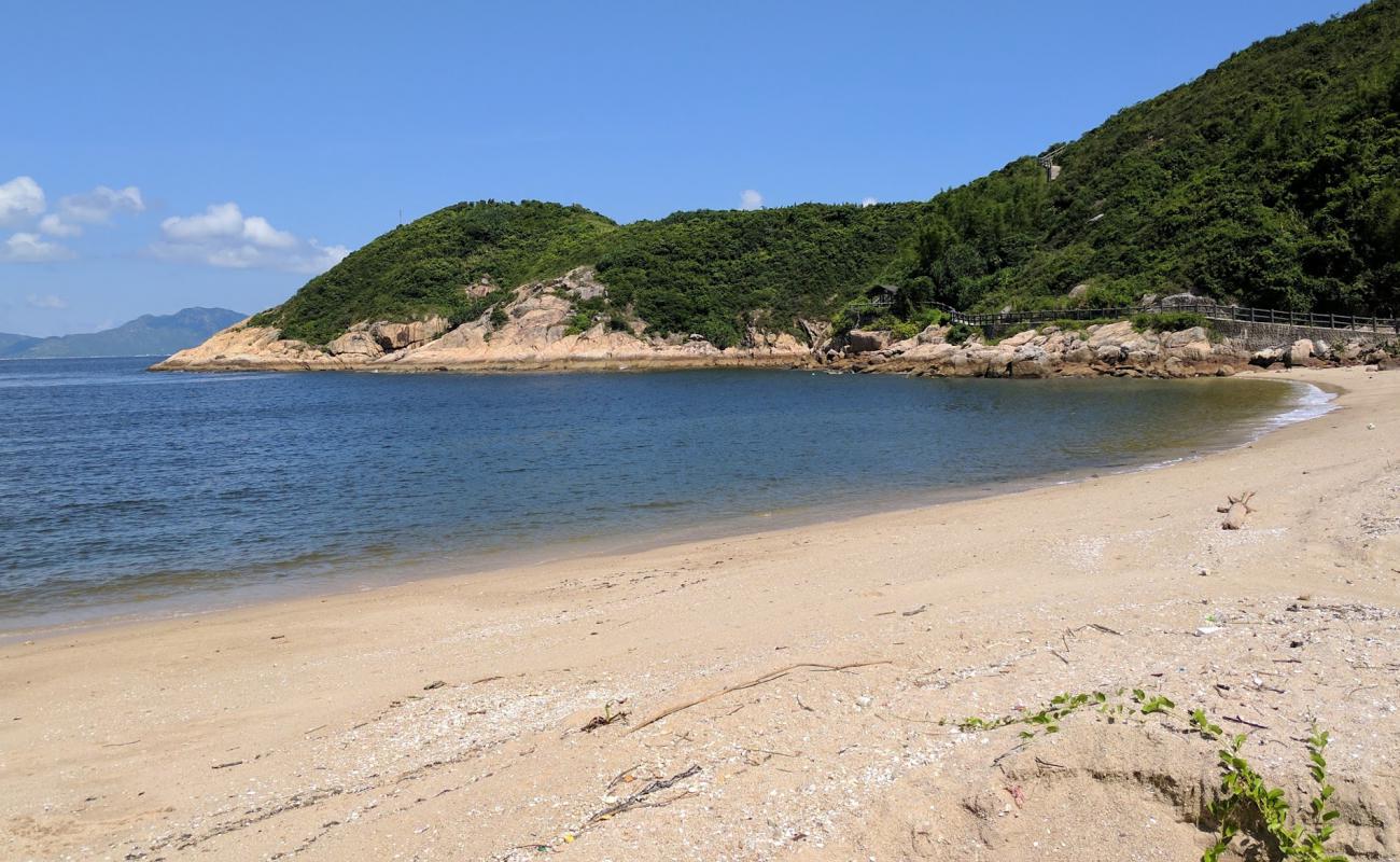 Coral Beach'in fotoğrafı hafif çakıl yüzey ile