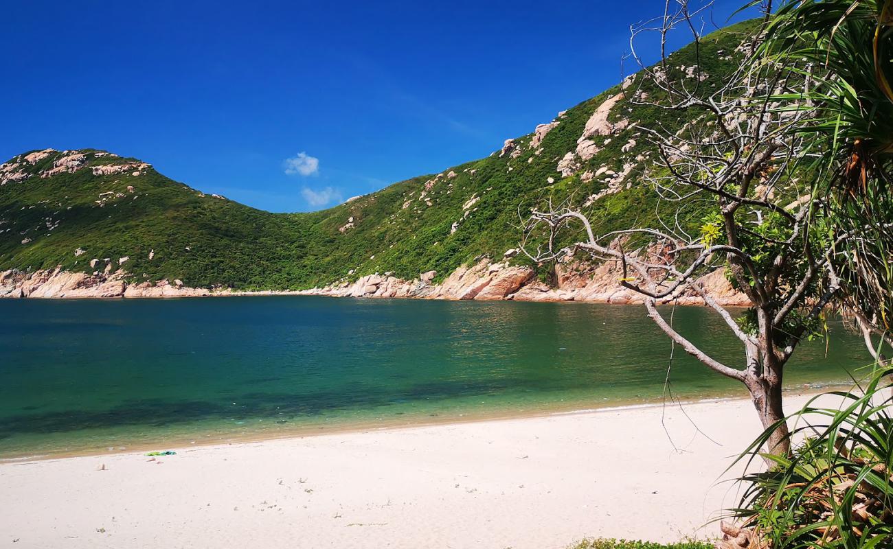 Sham Wan Beach'in fotoğrafı açık bej kum yüzey ile