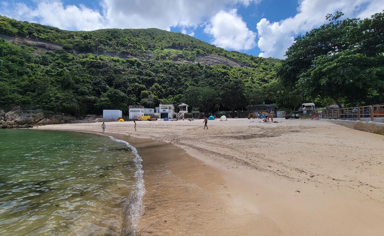 Turtle Cove Beach'in fotoğrafı açık bej kum yüzey ile