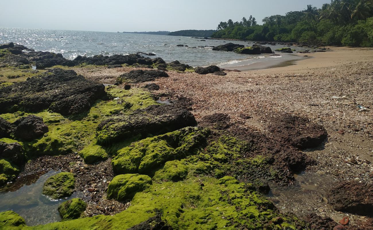Seashells beach'in fotoğrafı bej kum ve çakıl yüzey ile