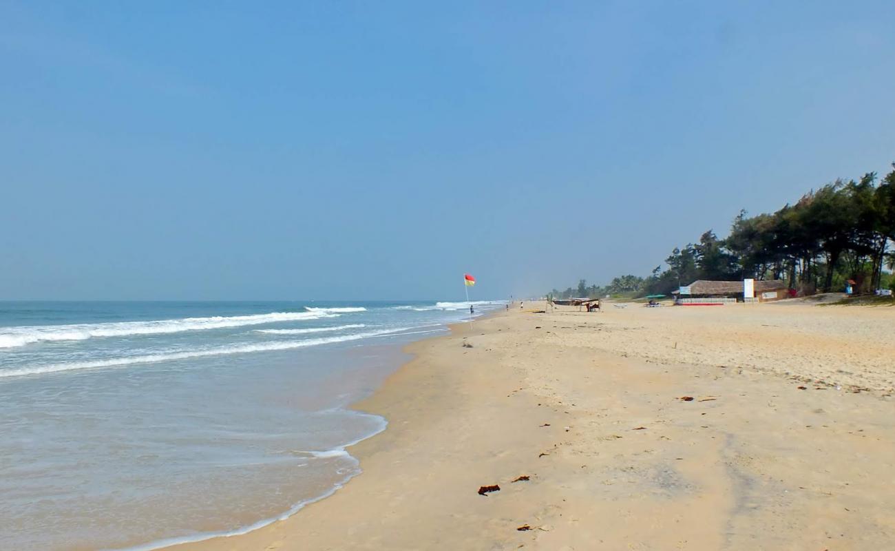 Varca Beach'in fotoğrafı açık bej kum yüzey ile