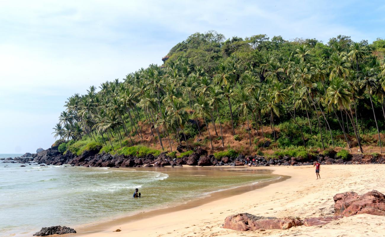 Cabo de Rama Beach'in fotoğrafı açık bej kum yüzey ile