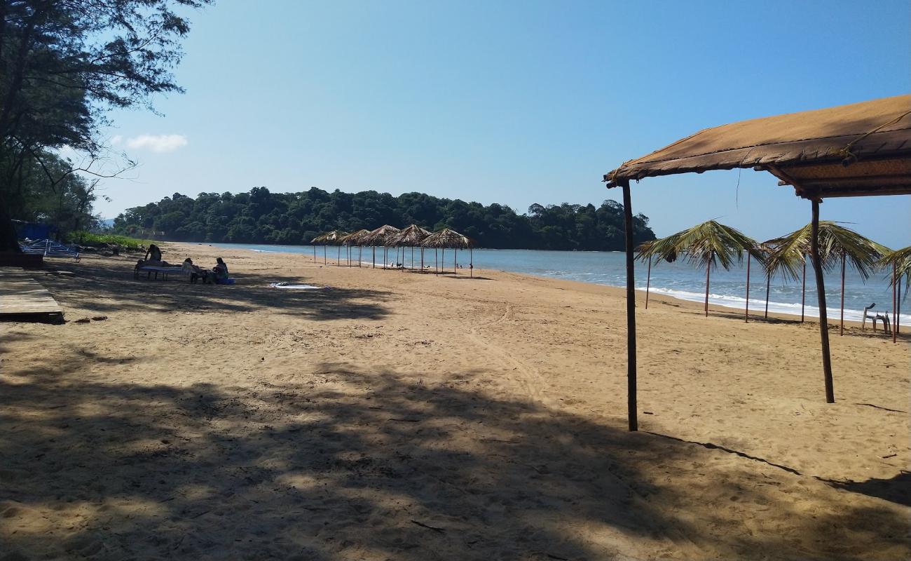 Rajbag Beach'in fotoğrafı parlak kum yüzey ile