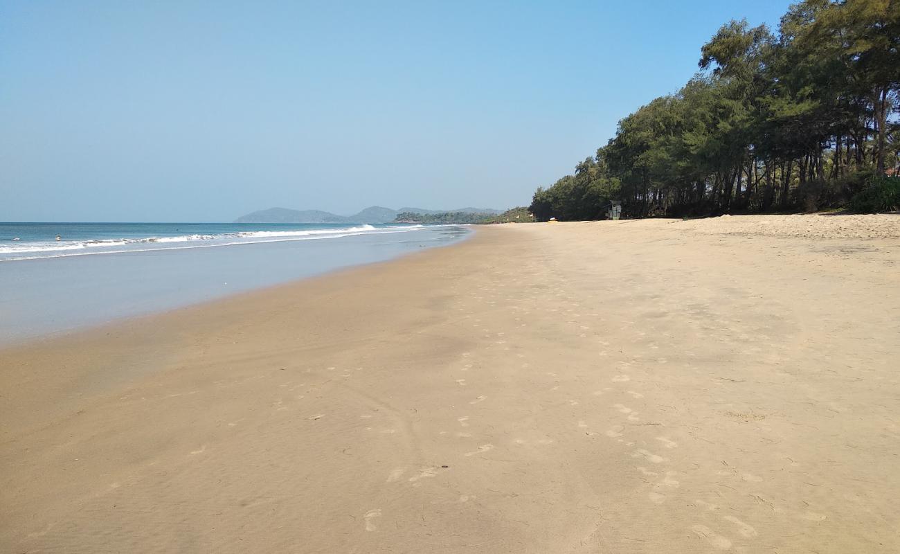 Galgibaga Beach'in fotoğrafı parlak kum yüzey ile