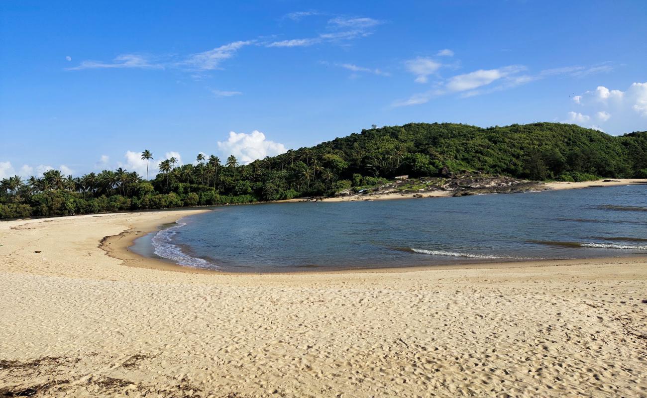 Keni Beach'in fotoğrafı açık bej kum yüzey ile