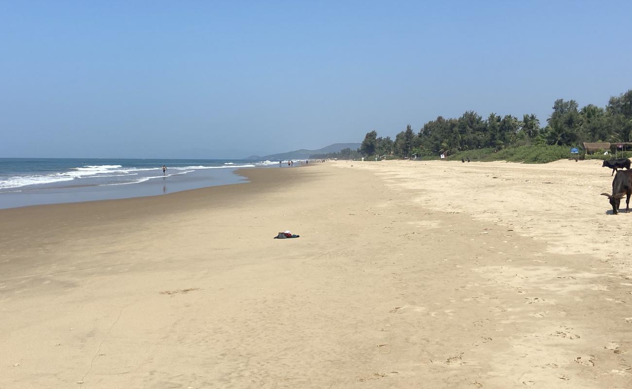 Gokarna Main Beach'in fotoğrafı parlak kum yüzey ile