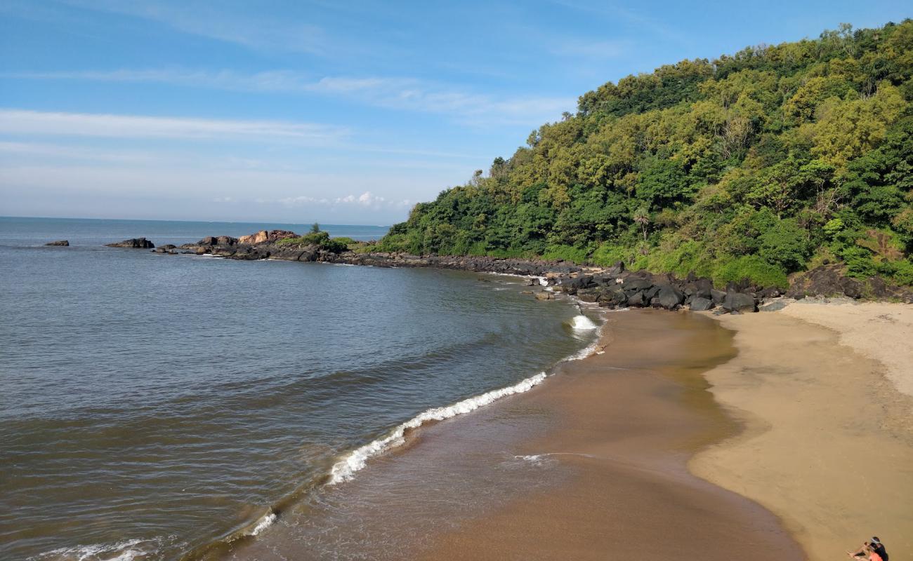 Half Moon Beach'in fotoğrafı parlak kum yüzey ile