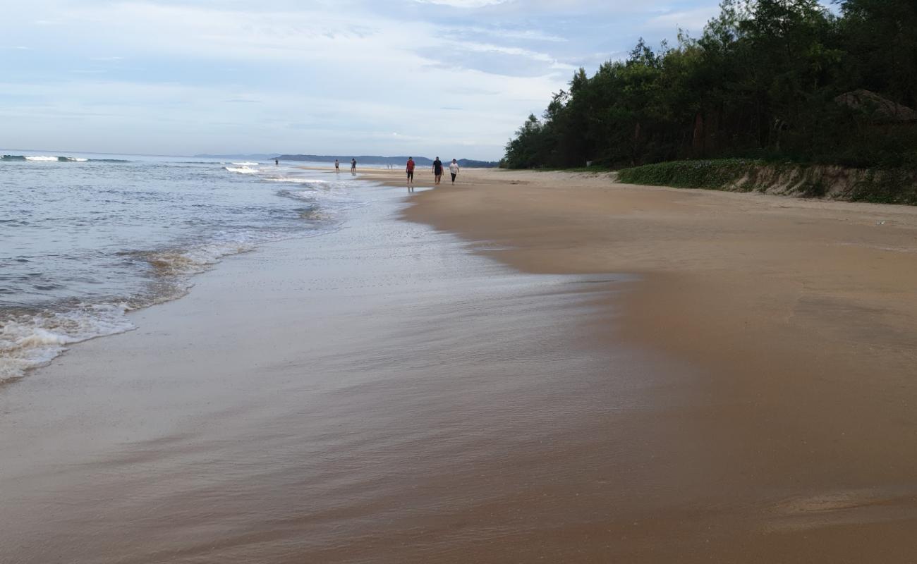 Alvekodi Beach'in fotoğrafı açık bej kum yüzey ile