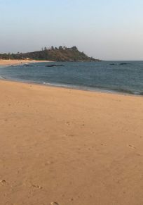Mavinakurve