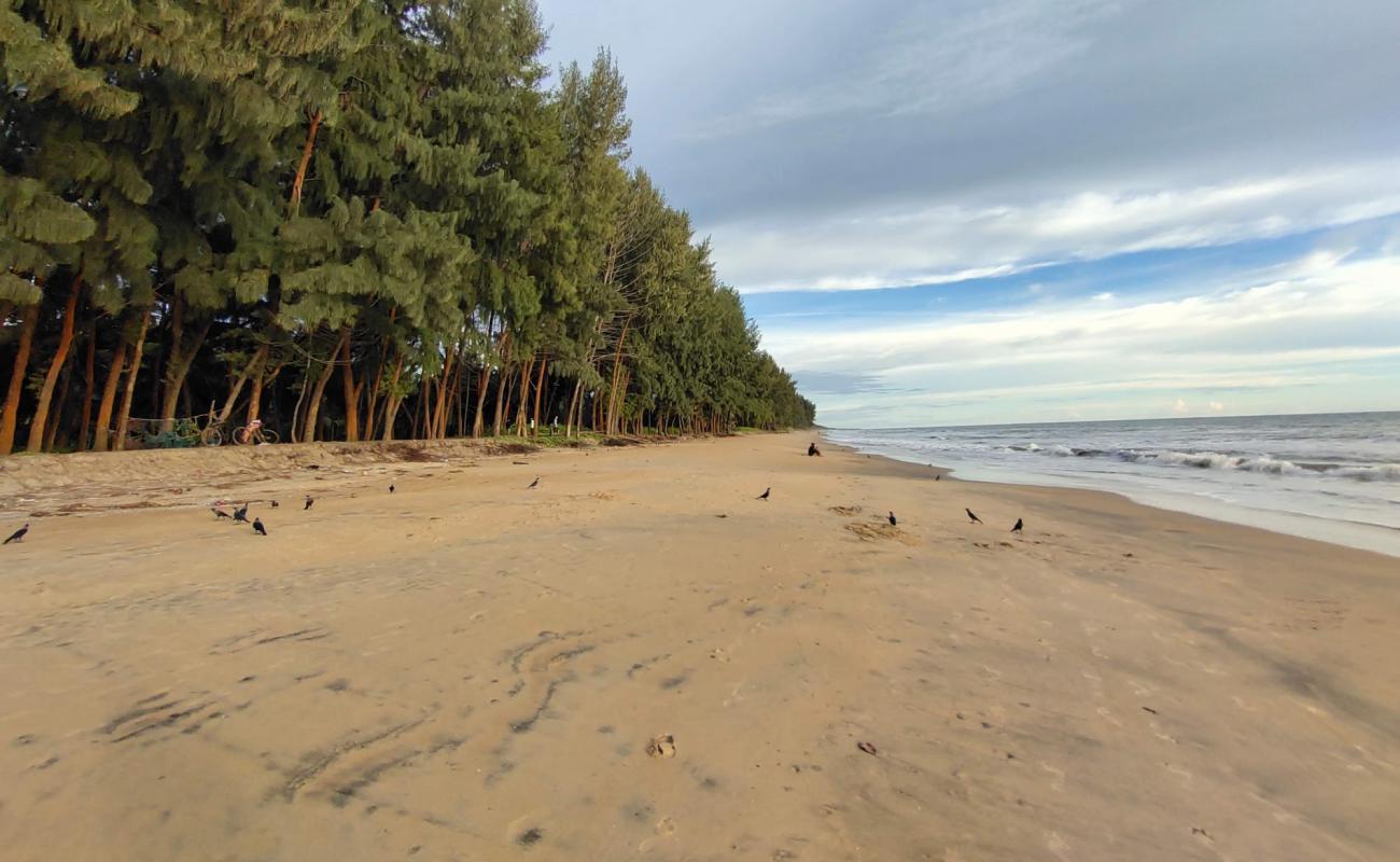 Valapad Beach'in fotoğrafı parlak kum yüzey ile