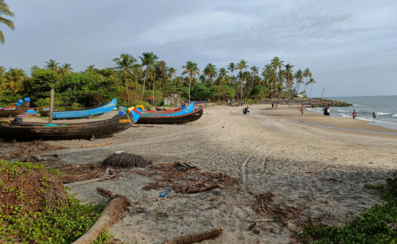 Thattukadavu Beach'in fotoğrafı parlak kum yüzey ile