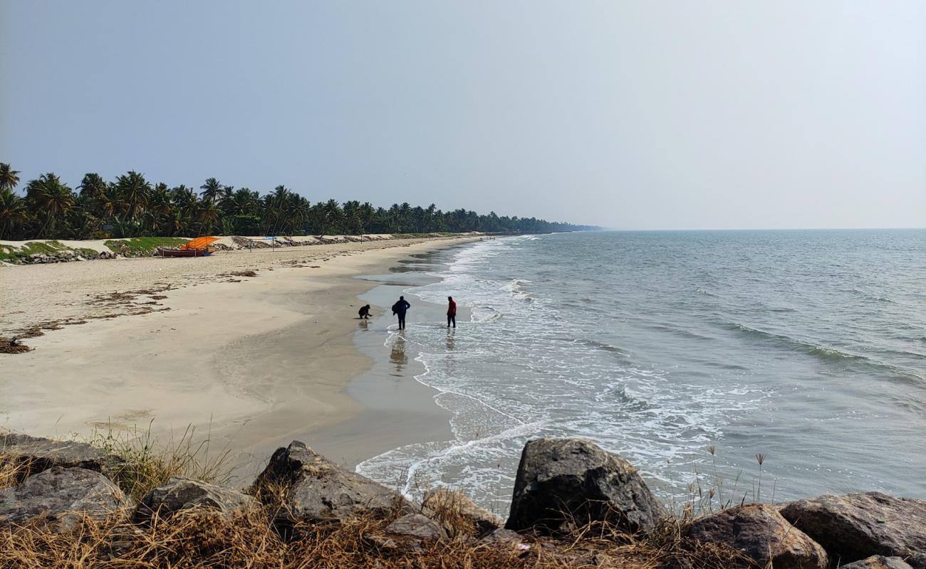 Chellanam Beach Kochi'in fotoğrafı parlak kum yüzey ile