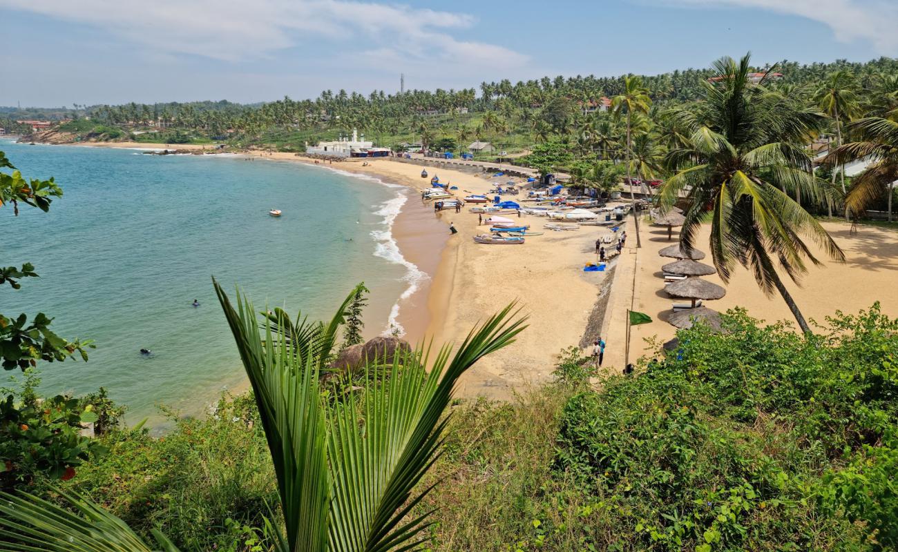 Grove Beach'in fotoğrafı parlak ince kum yüzey ile