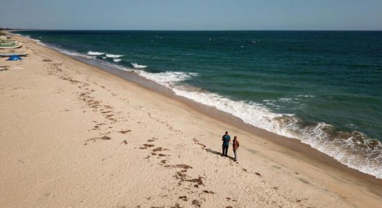 Narippaiyur Beach