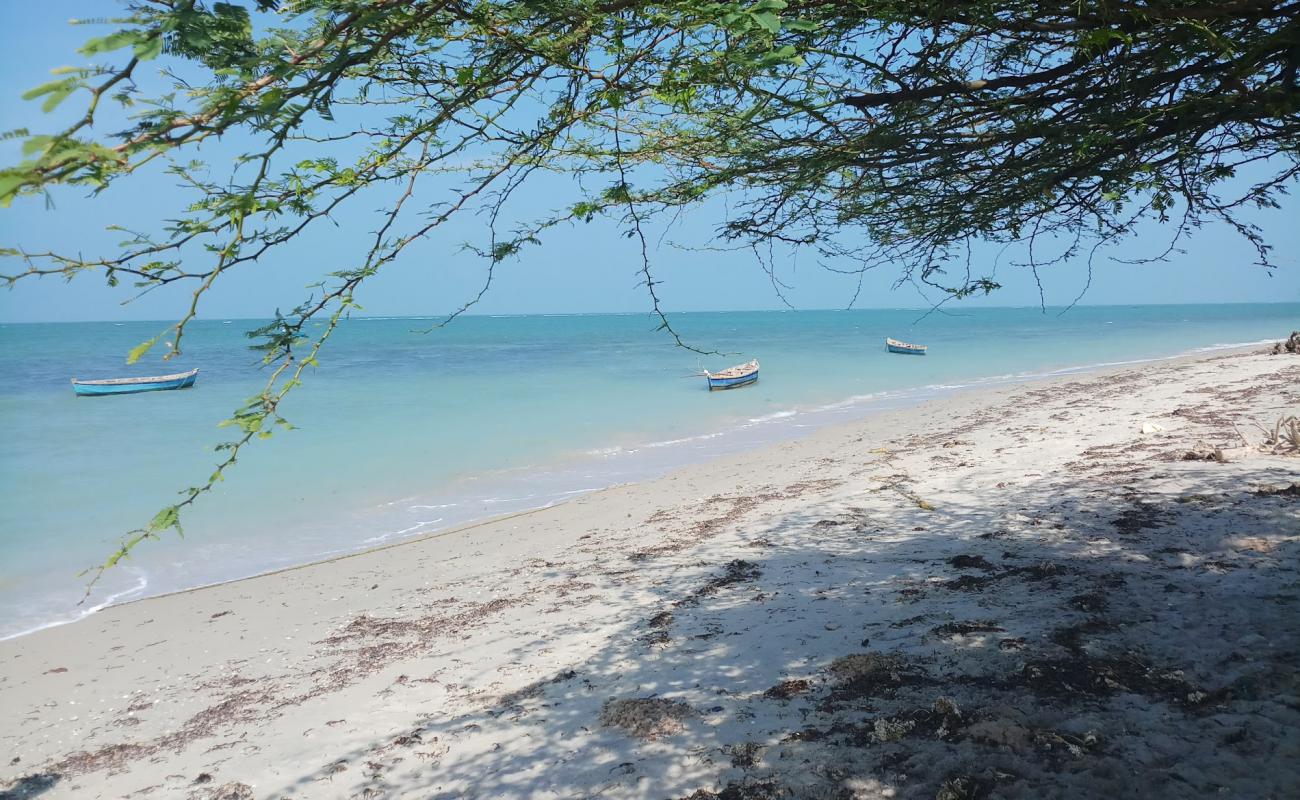 Cabana Coral Reef Beach'in fotoğrafı açık bej kum yüzey ile