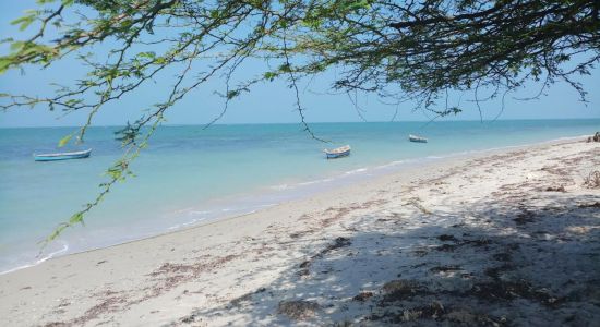 Cabana Coral Reef Beach