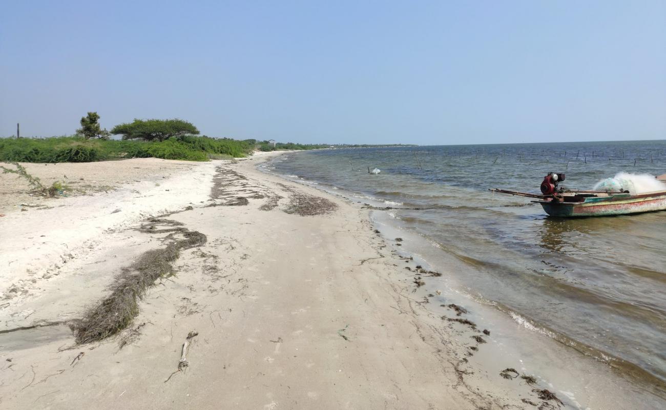 M R Pattanam Beach'in fotoğrafı açık bej kum yüzey ile