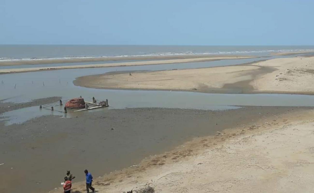 Point Calimere Beach'in fotoğrafı parlak kum yüzey ile