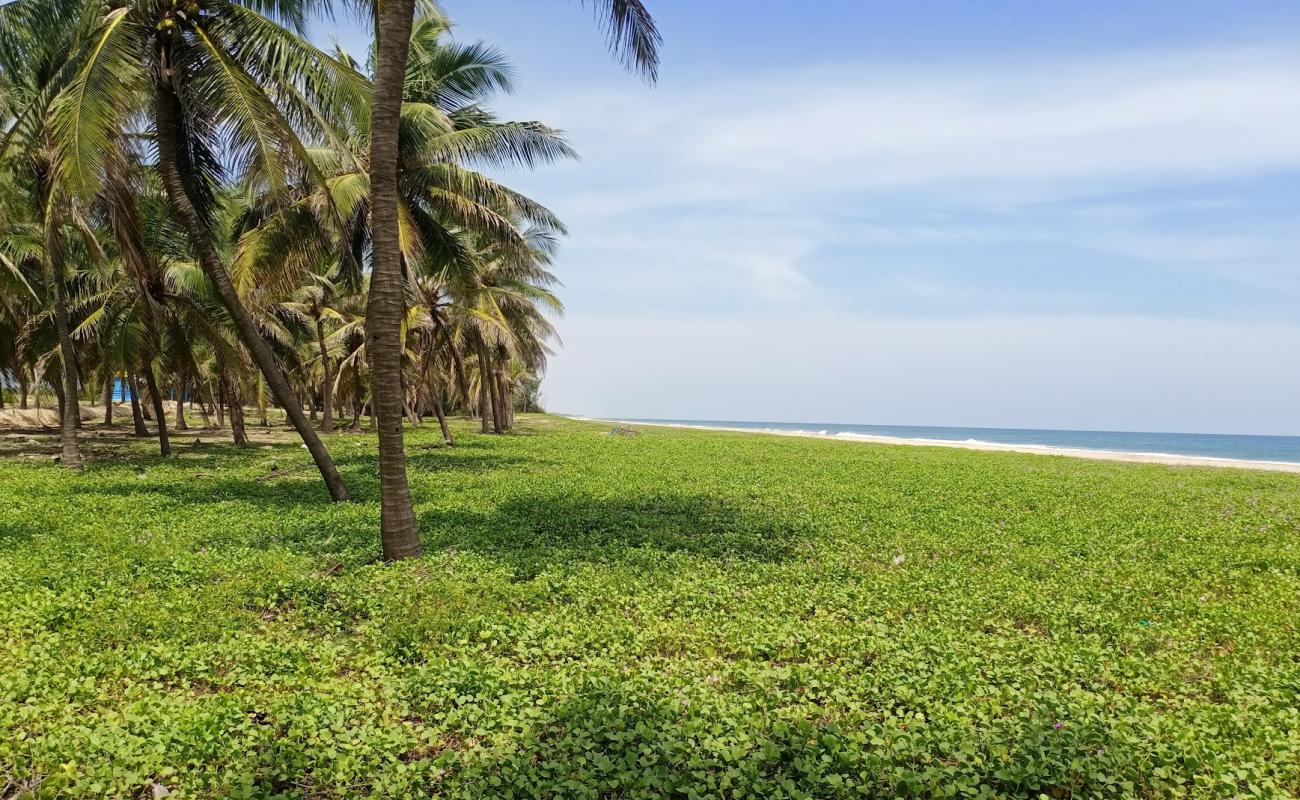 Narambai Beach Shore'in fotoğrafı i̇nce bej kum yüzey ile