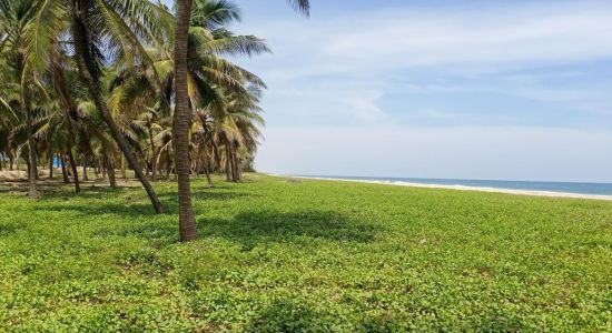 Narambai Beach Shore