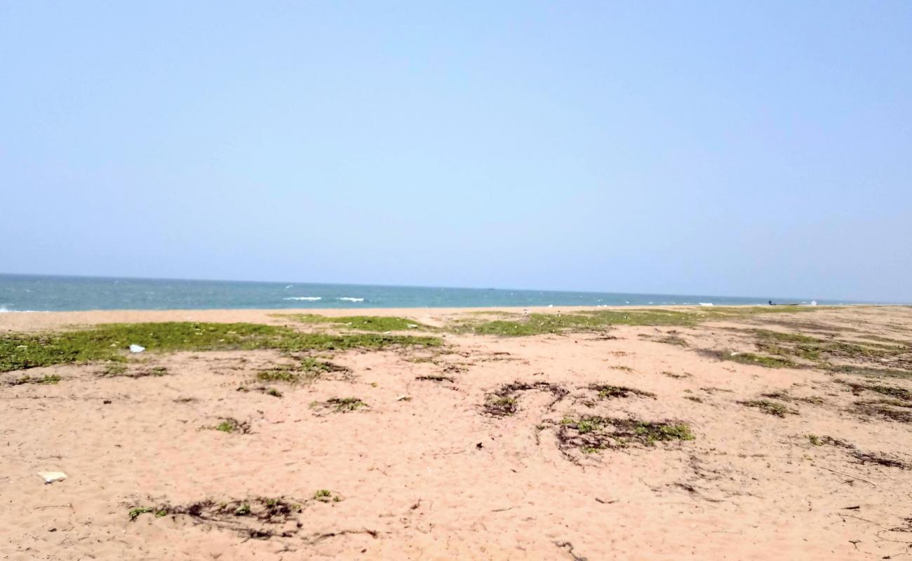 Zetta Beach'in fotoğrafı parlak kum yüzey ile