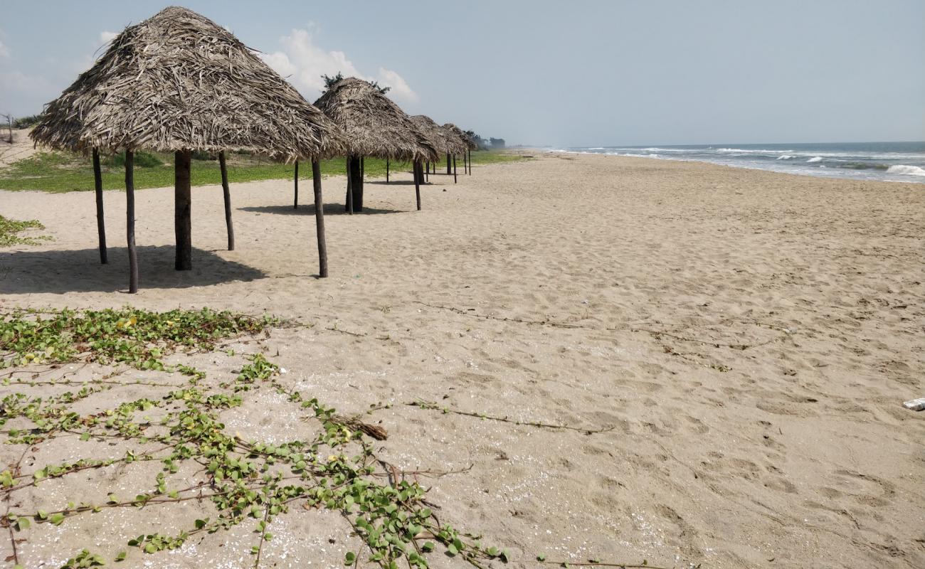 Island Beach'in fotoğrafı açık bej kum yüzey ile
