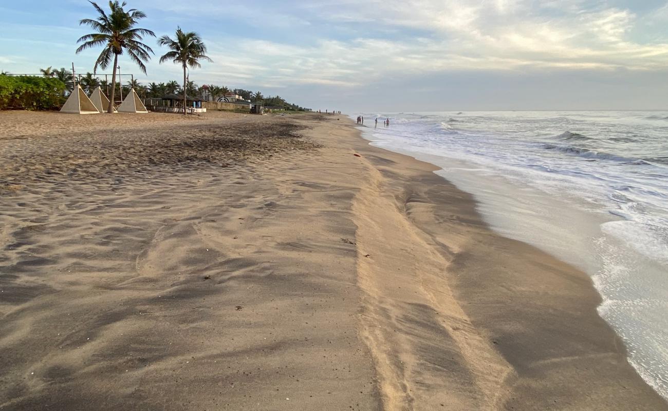 Graveside Beach'in fotoğrafı açık bej kum yüzey ile