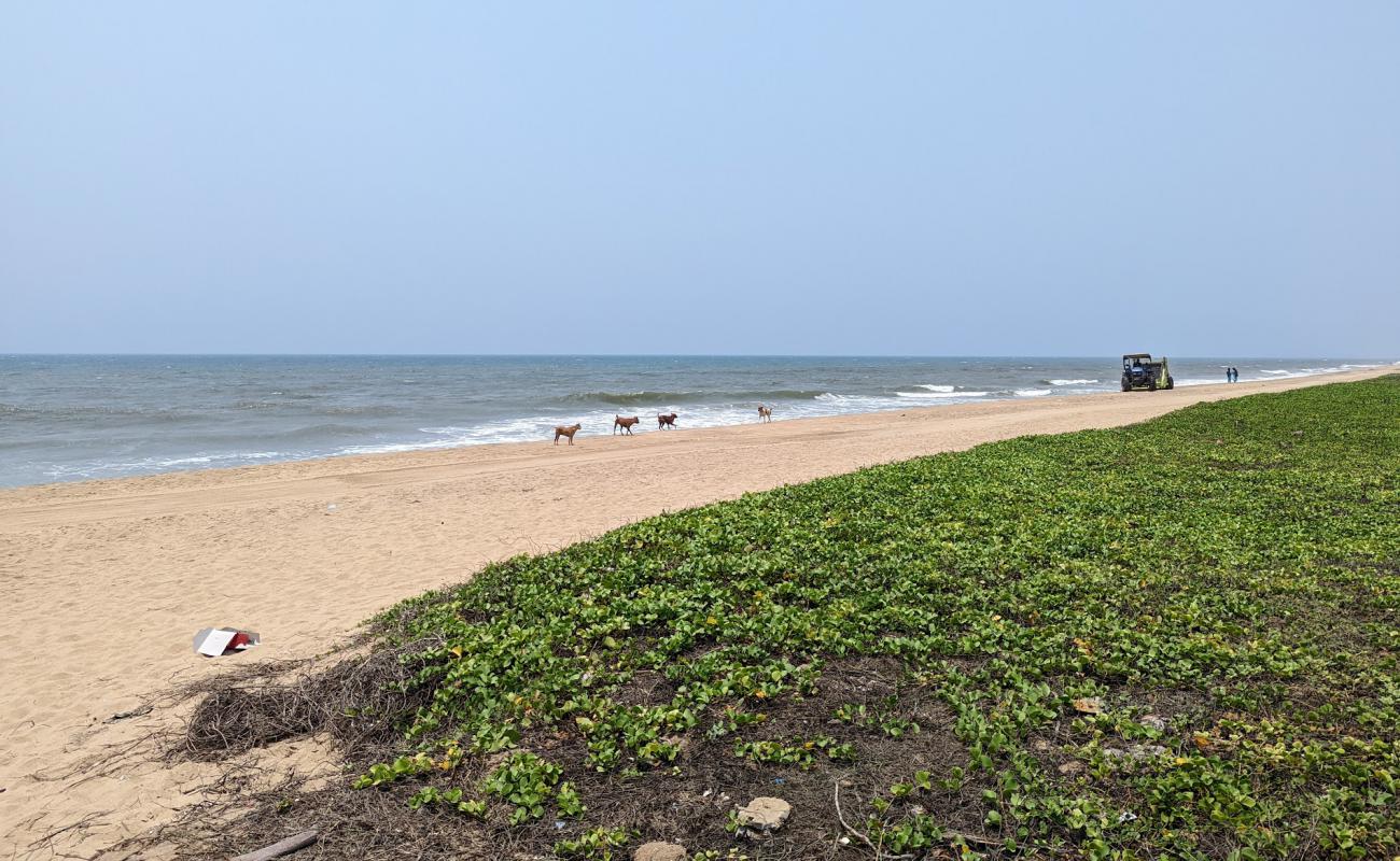 Panaiyur Beach ECR'in fotoğrafı açık bej kum yüzey ile