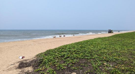 Panaiyur Beach ECR