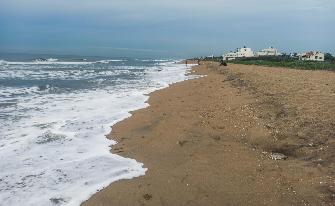 Olive Beach'in fotoğrafı açık bej kum yüzey ile