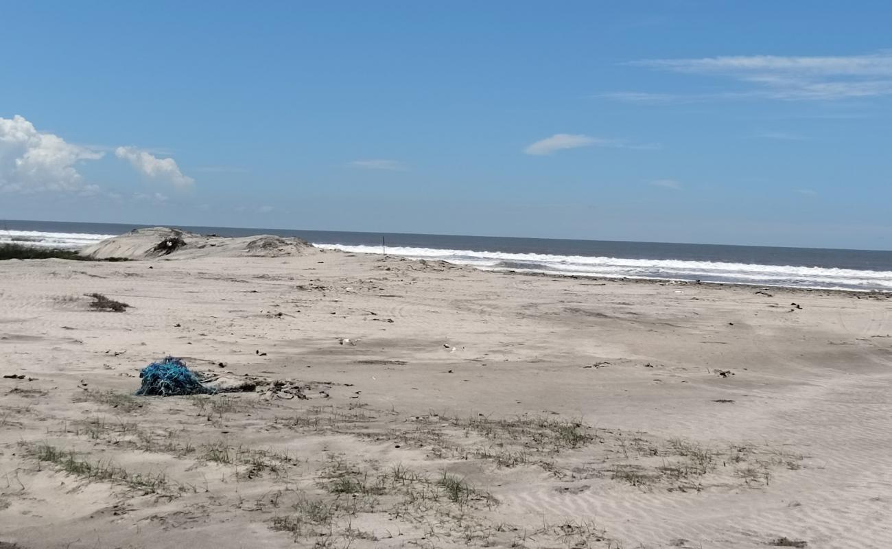 Crab Beach'in fotoğrafı parlak kum yüzey ile