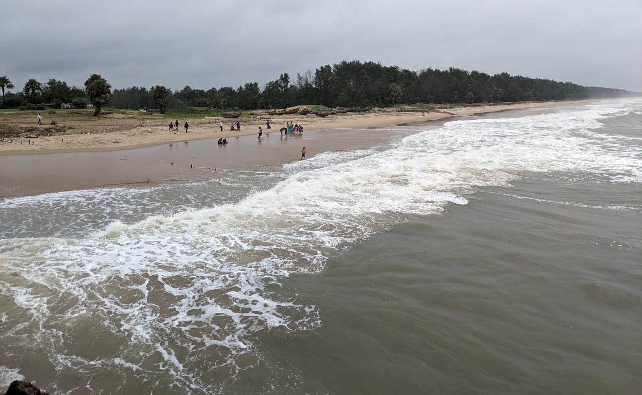 Addaripeta Beach'in fotoğrafı parlak kum yüzey ile