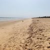 Jagannnadhapuram Beach