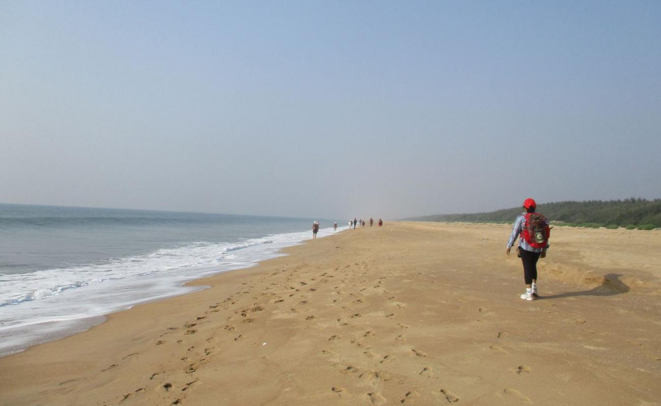 Purunabandha Sea Beach'in fotoğrafı açık bej kum yüzey ile
