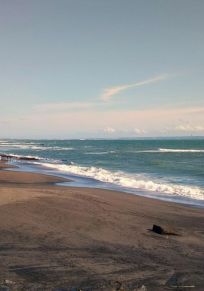 Pererenan