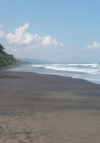 Lalang Linggah