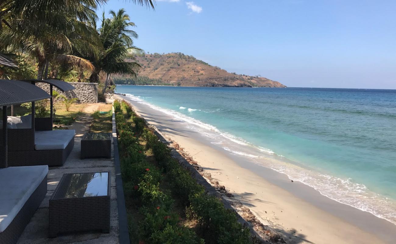 Teluk borok beach'in fotoğrafı açık bej kum yüzey ile