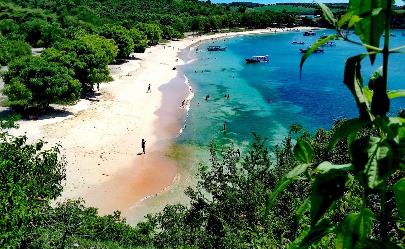 Pink Beach Lombok'in fotoğrafı pembe kum yüzey ile