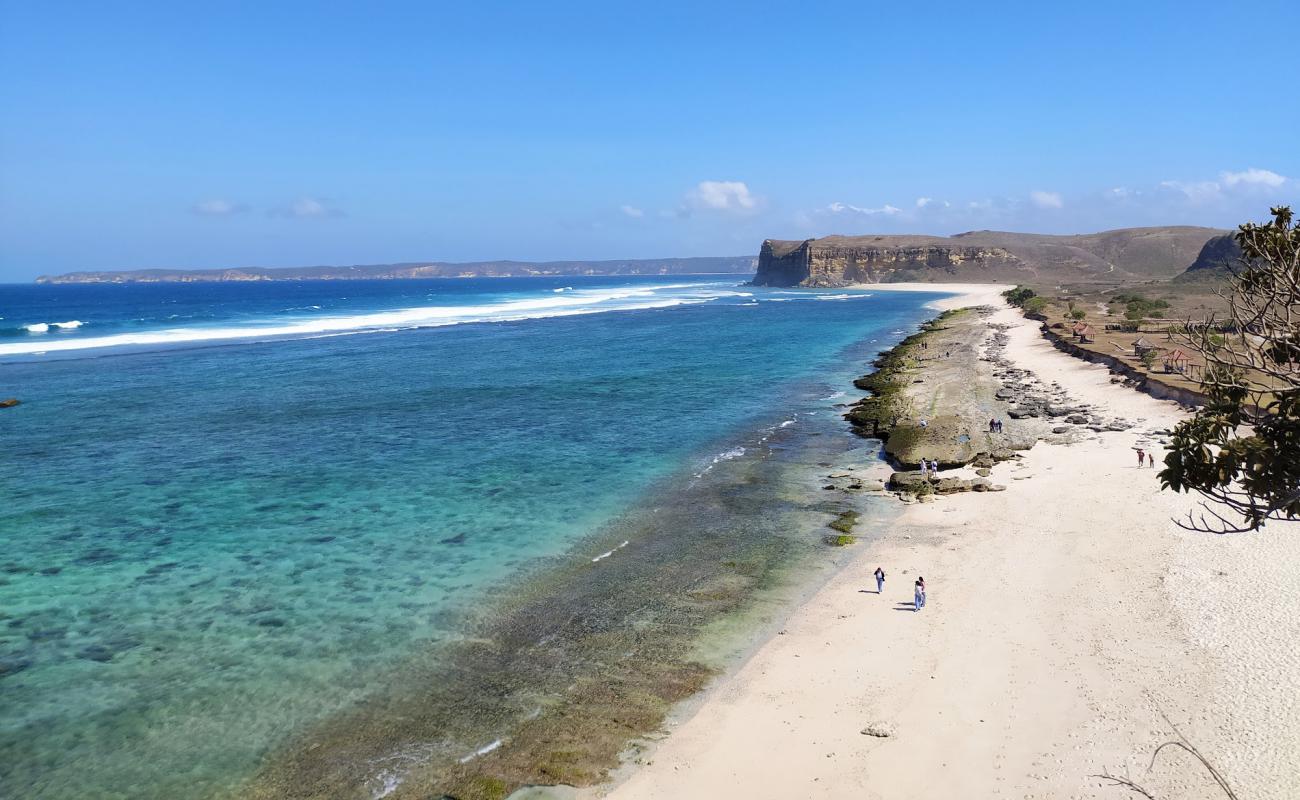 Kura-kura Beach'in fotoğrafı açık bej kum yüzey ile
