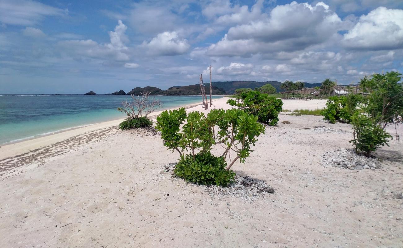 Seger Beach'in fotoğrafı parlak kum yüzey ile