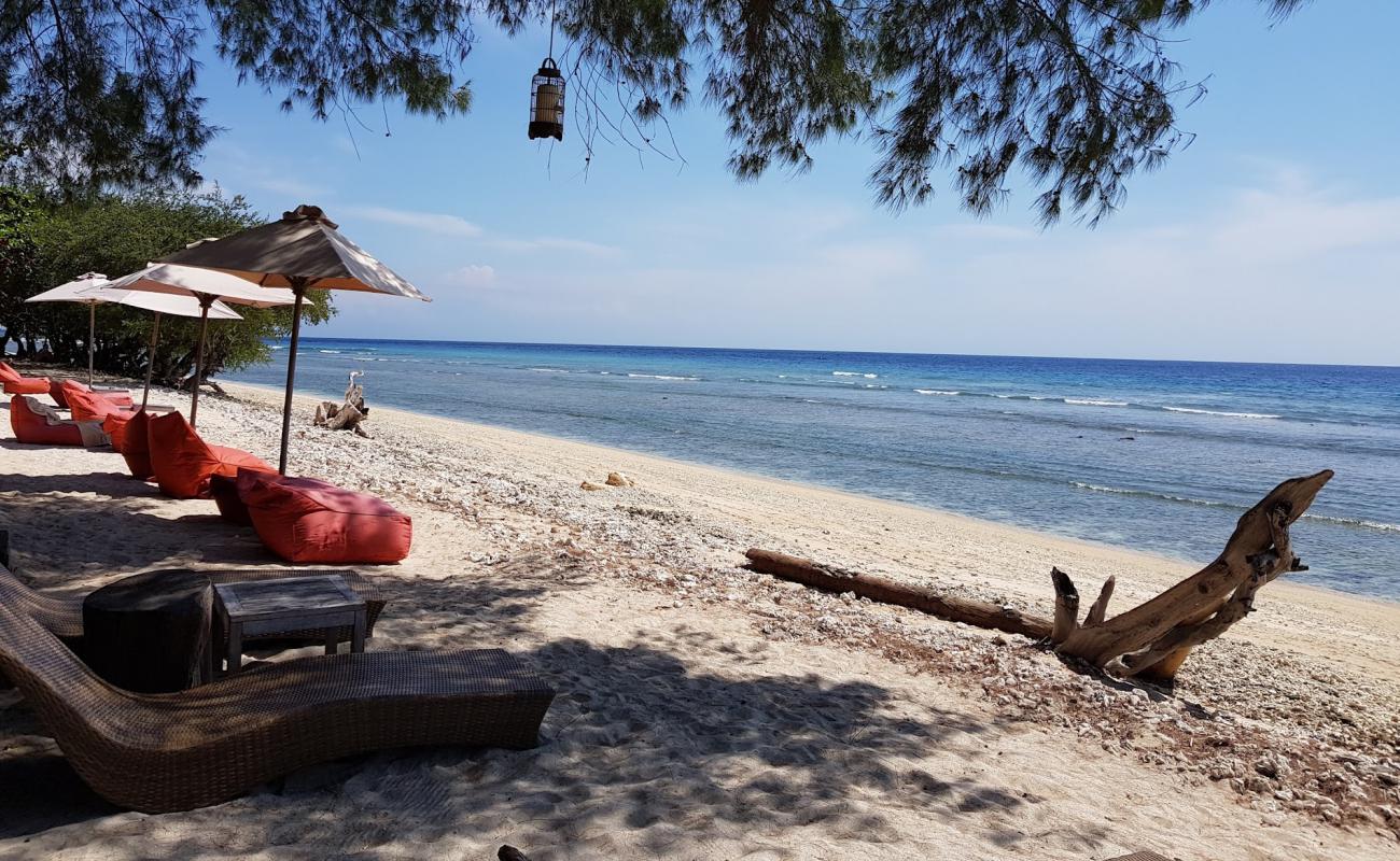 Gili Trawangan Turtle Shore'in fotoğrafı açık bej kum yüzey ile