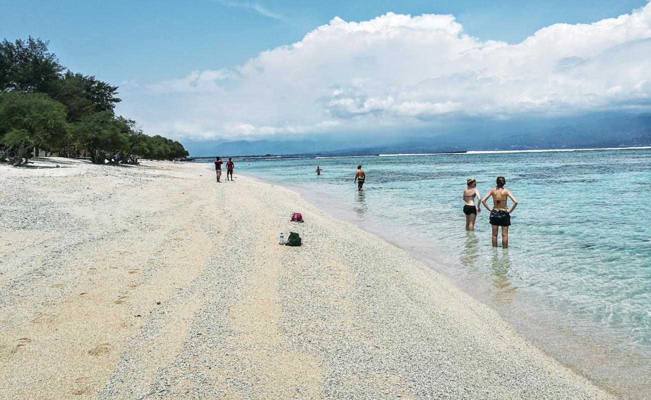 Pink Coco Beach'in fotoğrafı açık bej kum yüzey ile