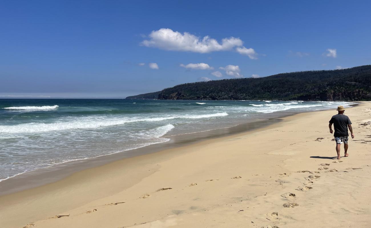 Wonboyn Beach'in fotoğrafı açık bej kum yüzey ile